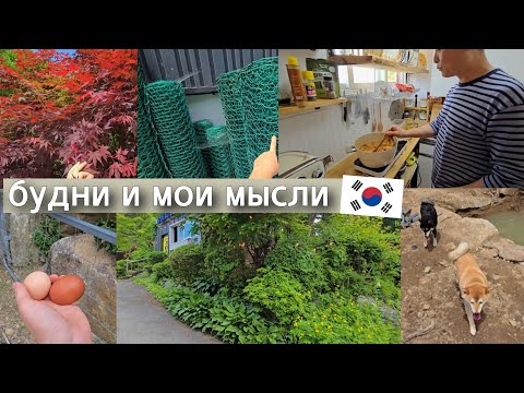 Наши корейские будни в горах / KOREA VLOG