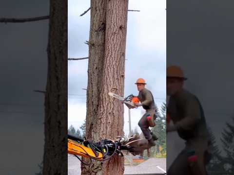 Amazing cutting skills must watch #amazing #cuttingskills #funny #ideas #shorts