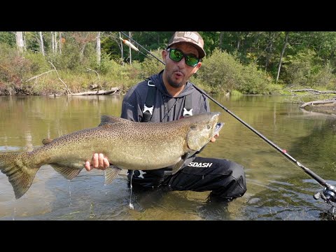 Técnica Nueva!!! Gran Pesca De Salmones Salvajes