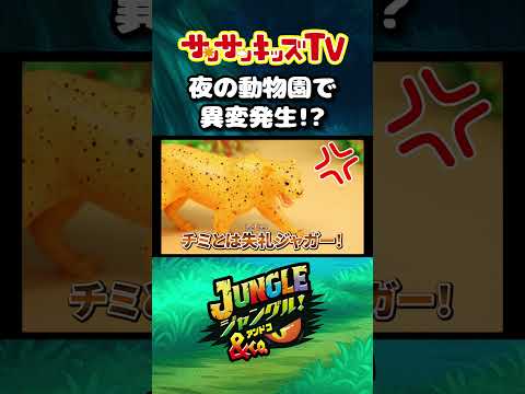 飼育員になって夜の動物園を脱出せよ！ジャングル＆Co.・子供向け知育教育★サンサンキッズTV★ #shorts  #サンサンキッズtv #サンサンキッズtv