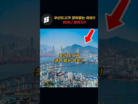 부산도시가 정이없는 이유!!~이러니 망하지!!