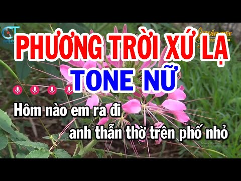 Karaoke Phương Trời Xứ Lạ Tone Nữ ( F#m ) Nhạc Sống Tuấn Kiệt