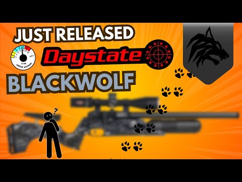 JUST RELEASED Daystate BLACKWOLF Fully Reviewed