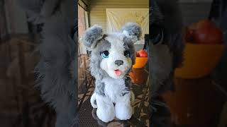 Furreal Puppy Find!