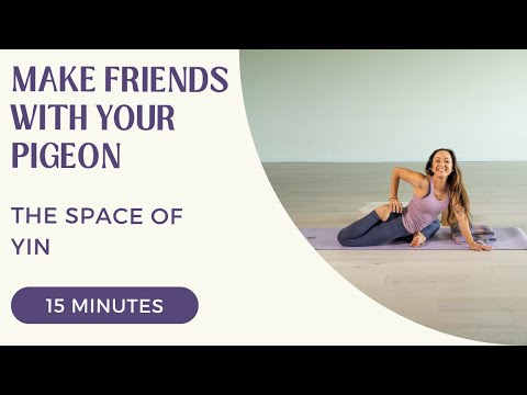 The Space of Yin - Make Friends with Pigeon