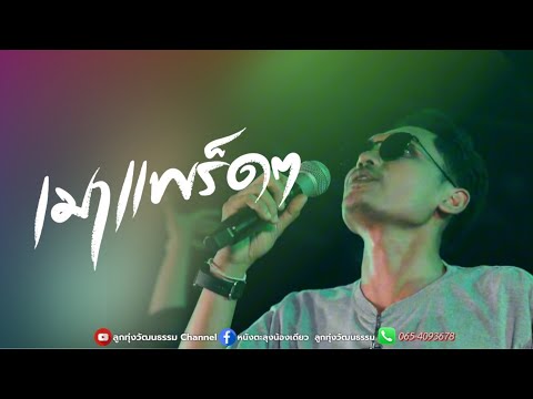 เมาแพร็ดๆสามช่า - น้องเดียว สุวรรณแว่นทอง (MV)
