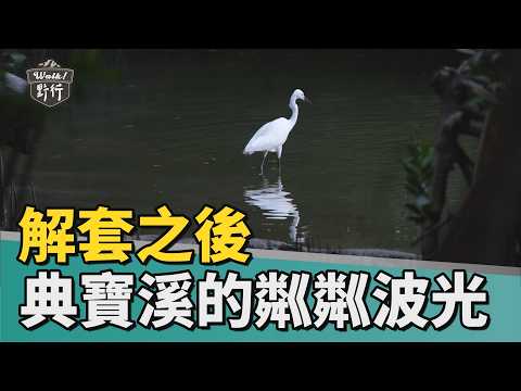 解套之後 典寶溪的粼粼波光 | Walk!野行