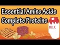 Understanding Amino Acids and Proteins