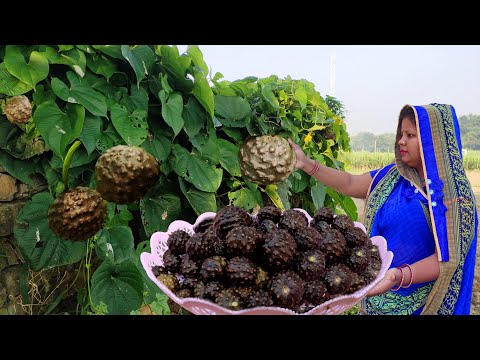 जगंली आलु की स्वादिष्ट सब्जी बनाने का SECRET तरीका