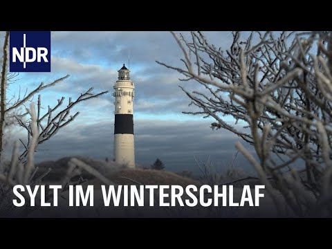 Sylt im Winter - Auszeit vom Saisontrubel | Nordseereport | NDR Doku