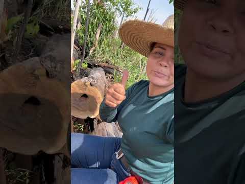 30 de outubro de 2025