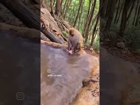 ma baccho ki jana