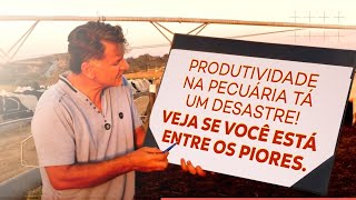 PRODUTIVIDADE  NA PECUÁRIA TÁ UM DESASTRE! VEJA SE VOCÊ ESTÁ  ENTRE  OS PIORES.