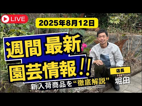 【最新情報】8月12日グリーンギャラリーガーデンズ入荷情報を一挙公開!