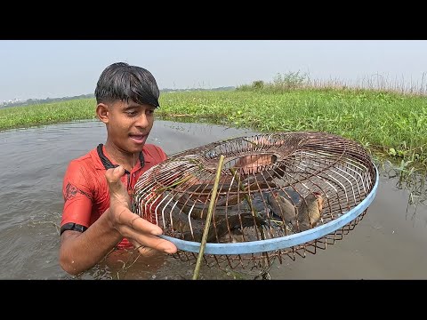 Amazing Trap Fishing: Traditional Village Boy Catches Fish with Skill!