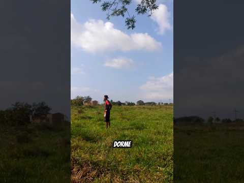 Perdi meu Drone, e hoje vou tentar encontrar ele!! 🕵‍♂️ #perdimeuDroneemplenovôo   #resgateaodrone