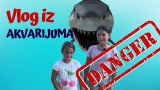 Akvarijum Dobrota - Videli smo ajkule - Mama je popunila ajkulu
