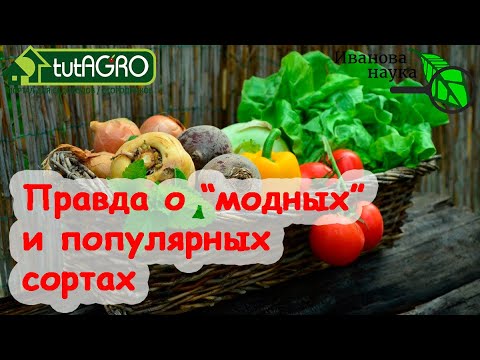 Какой сорт лучше? Как выбрать лучший сорт? Правда о рекламе сортов. Где взять информацию о сорте?