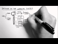 Nervous System Functions and Structures