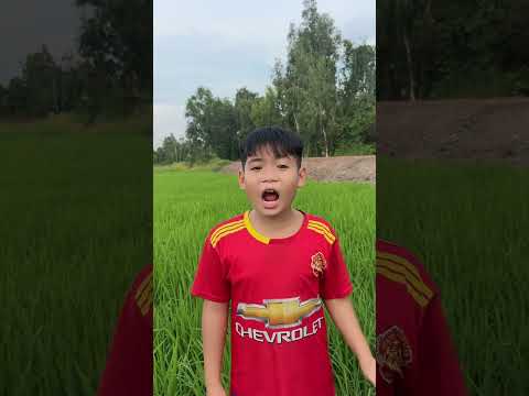 BẮT CÁ THEO KIỂU ĐỘC LẠ #phadene #shorts