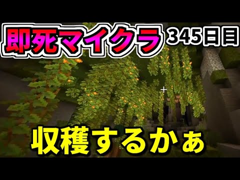 【マイクラ】3秒に一回トラップが襲ってくる世界で生き延びたい 345日目【一日一回】