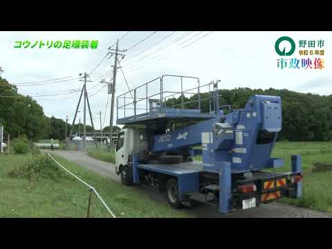 2 コウノトリの足環装着