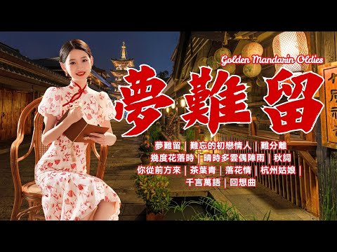 【國語金曲】夢難留|難忘的初戀情人|難分離|幾度花落時|晴時多雲偶陣雨|秋詞|你從前方來|茶葉青|落花情|杭州姑娘|千言萬語|回想曲 Mandarin Oldies (歌詞版)