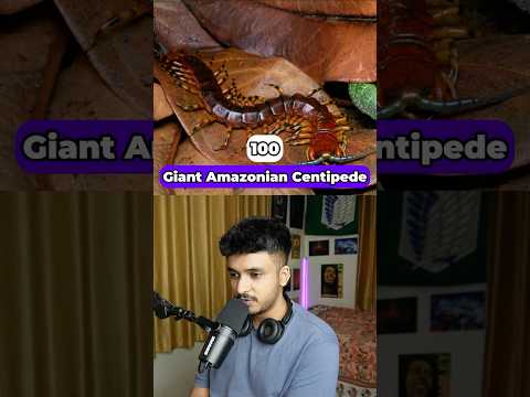 How Many Bites To K** You? 3