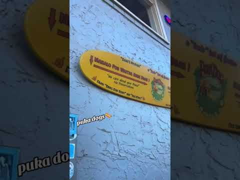 Travel day for our new intern team!✈️ Want to join us for next time? Check out our bio for more