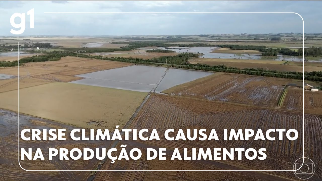 Crise climática causa impacto na produção de alimentos