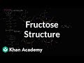 Understanding Monosaccharides: Glucose and Fructose