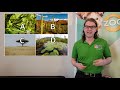 Understanding Habitats and Animal Adaptations
