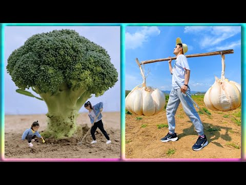 The Art of Magic📸Photography - The Ultimate Creative #1