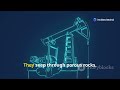 Oil Formation and Geology in the Arab World