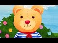 Teddy Bear Body Parts Count