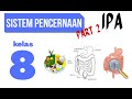 Digestive System Concepts and Functions