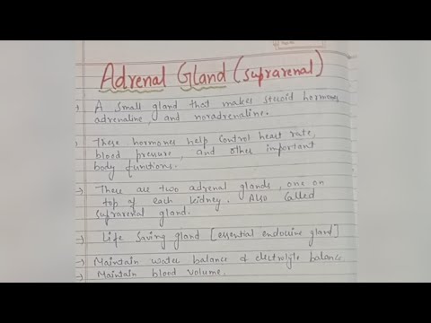 Adrenal gland (Suprarenal)#humananatomyandphysiology #notes #handwritten #pharmacy