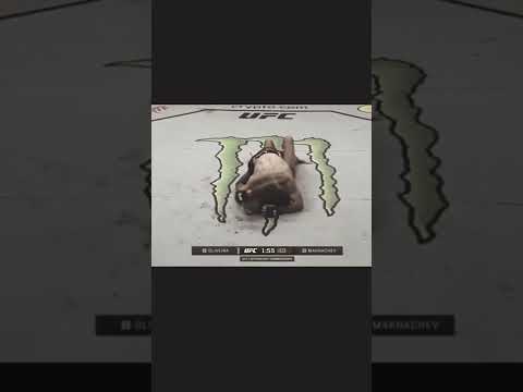 Terungkap, Apa Yang Dikatakan Khabib Pada Oliveira Usai Kekalahannya Melawan Makachev #shortsvideo