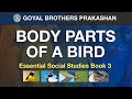 Bird Adaptations and Anatomy