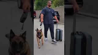 Watch Til the End - Bron Breakker Walking a Dog