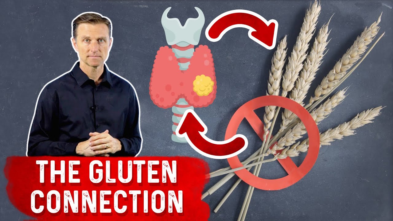 The Thyroid Gland and Gluten: IMPORTANT
