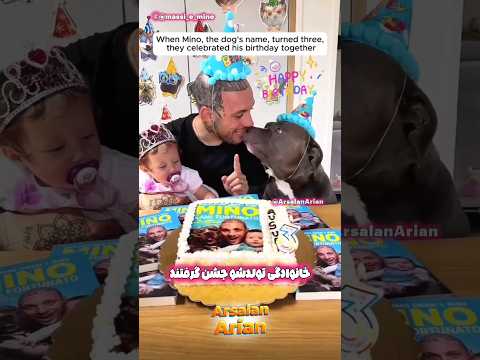 داستان جالب این خانواده شگفت‌انگیز😍🙂