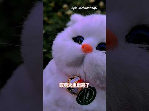 "Chiko & Bubu Temukan Batu Langka dan Boneka Misterius!"#shorts#kucing