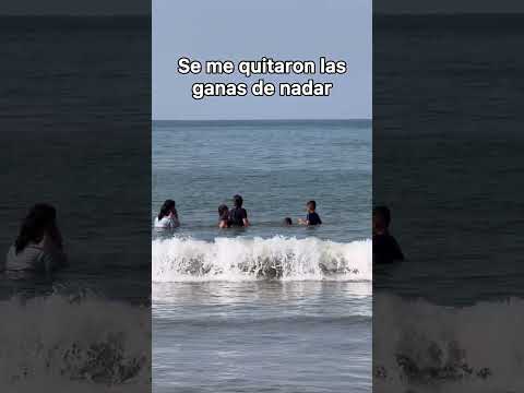 Acaso nadie se percató de la ALETA que sale a la superficie? 😨