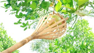 3 Đồ Dùng Xưa Đang Dần Bị Lãng Quên
