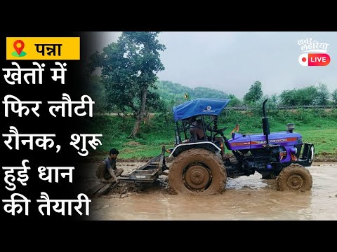 धान की बुआई के लिए खेतों की होने लगी अहली #panna