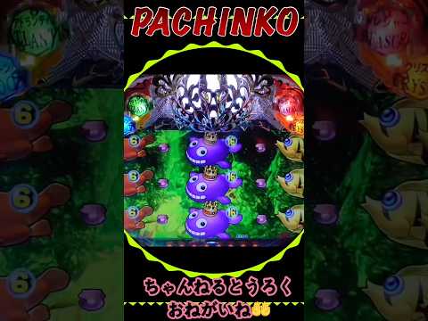 大海物語❹withアグネスラム❣️2026年3月4日