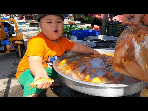 Đồ Chơi Trẻ Em Bé Pin Chạy Xe Máy Xúc Mua Cá Chép ❤ PinPin TV ❤ Baby Toys Car Excavator Carp