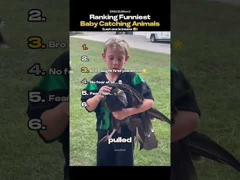 Ranking Best Babies Moments