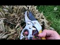 Pruning Techniques and Tool Effectiveness